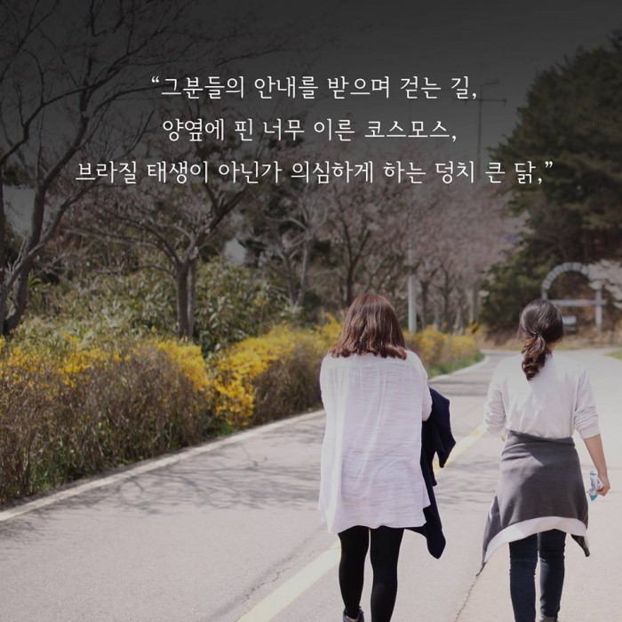 bdf1534b1de4242a3a898de6f01dfedd_1444883