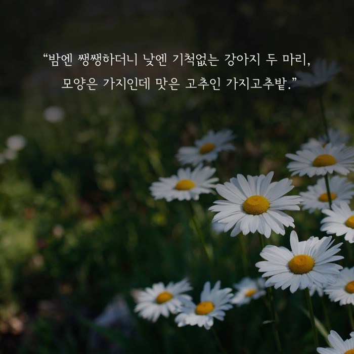 bdf1534b1de4242a3a898de6f01dfedd_1444883