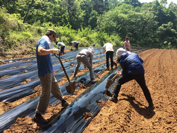 bfbc7ccb0f32126cfe1154c3ba6e6932_1463820