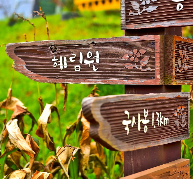 83dc07704520598a67d50fdc3ad1e4b7_1485683