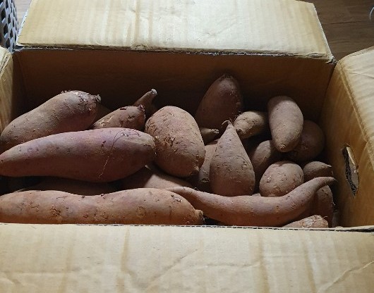 e35242b6c4e76b267d01668d76bc2e36_1611385