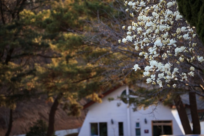 73284ae678ad5b0a0490c282c032d63c_1616551