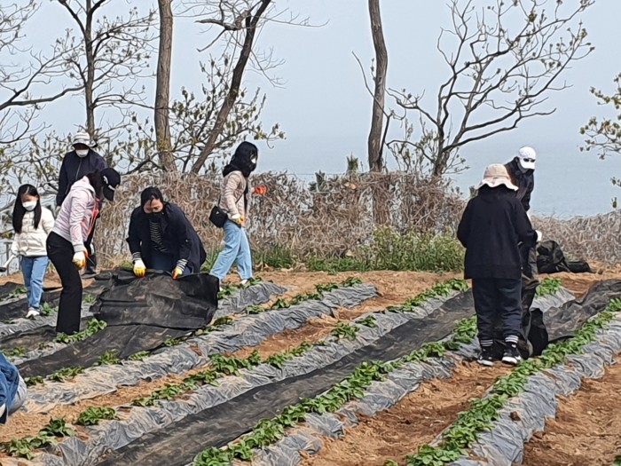 722407400f199ff33cb3d2d16b4e562b_1651392