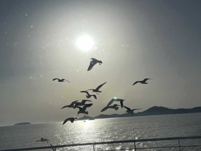 a715cae4fc4c1f06591779eec14043ed_1718706