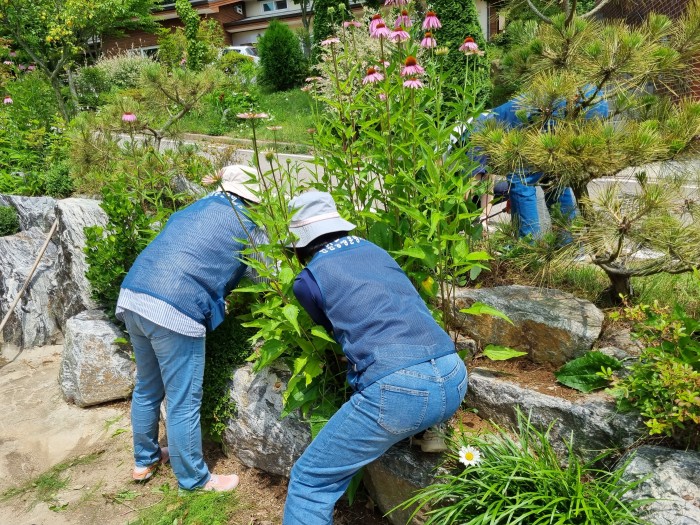 3543633315_IynR48qY_133dd77e4dfe72f2cca3