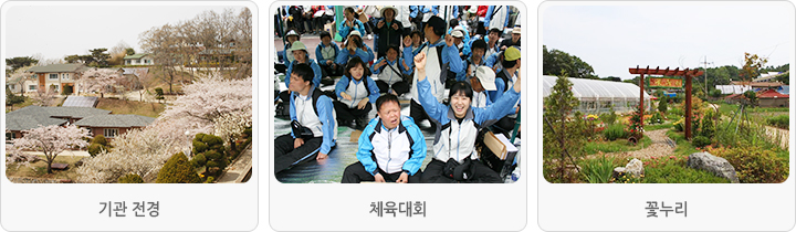 관련이미지