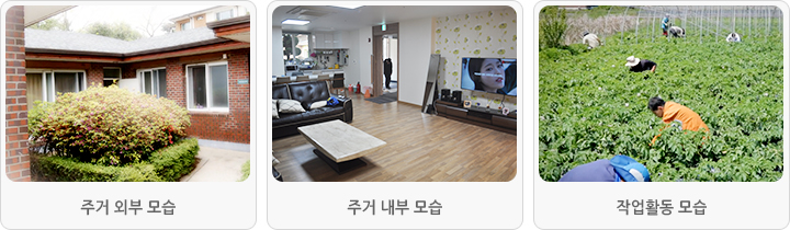 관련이미지