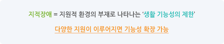  지적장애 = 지원적 환경의 부재로 나타나는 ‘생활 기능성의 제한’다양한 지원이 이루어지면 기능성 확장 가능